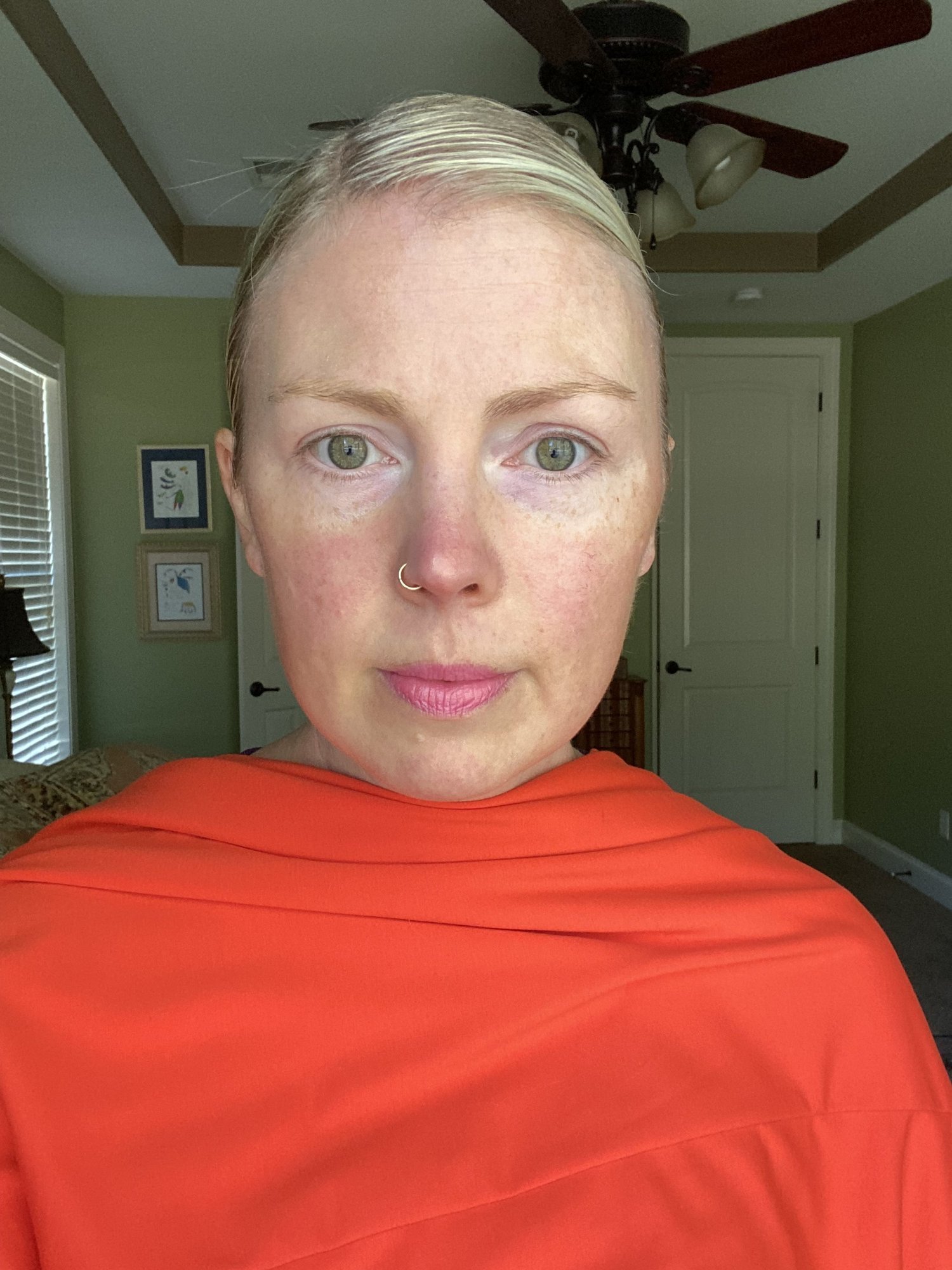 Client closet color test 6