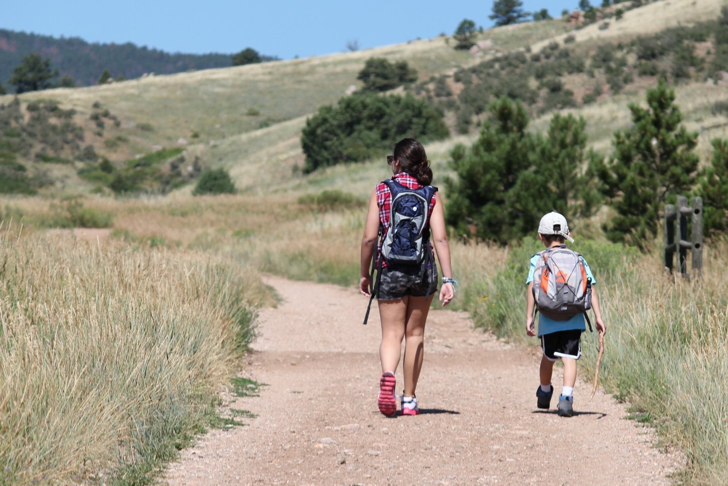 Fort Collins color analysis travel guide