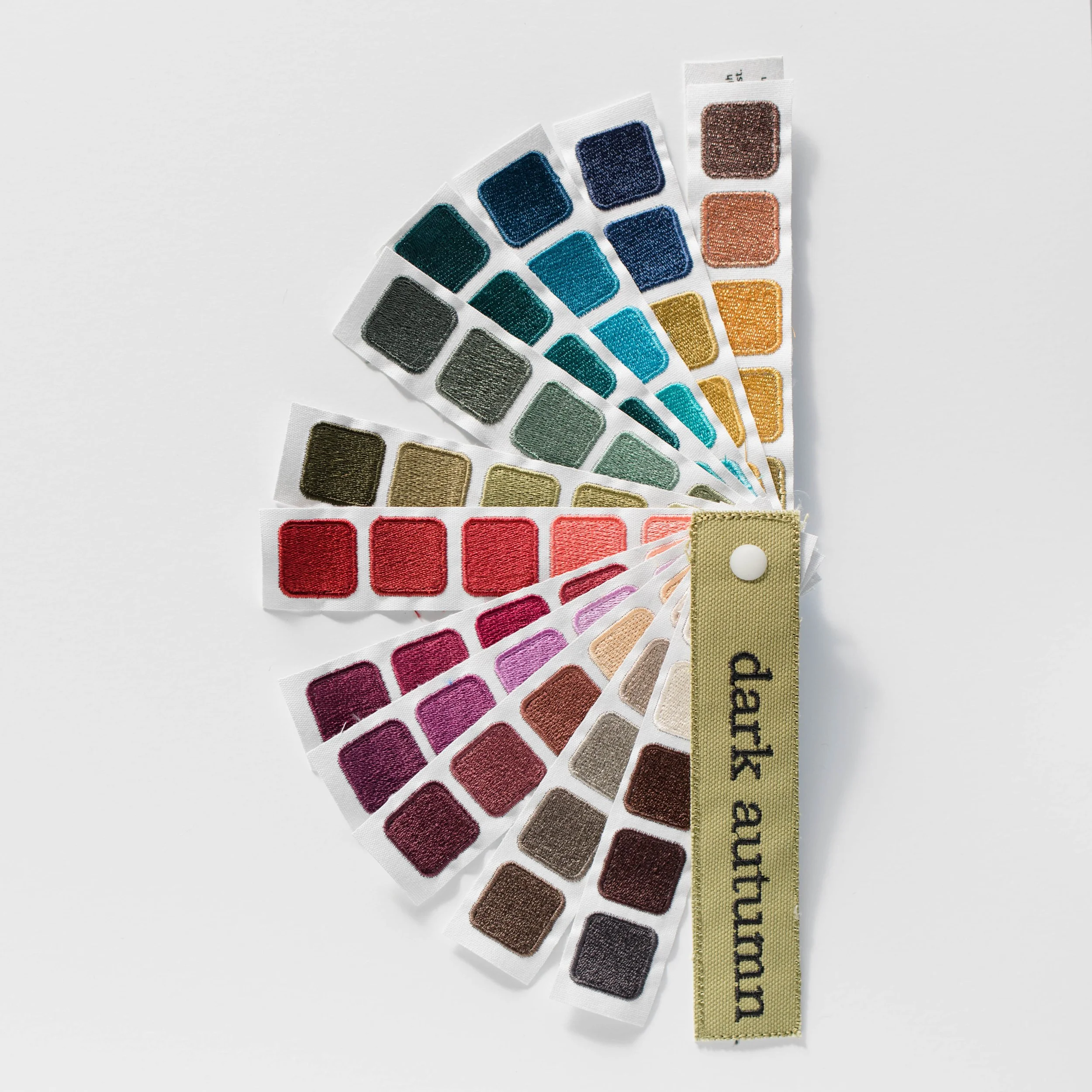 Indigo Tones Dark Autumn color swatch book