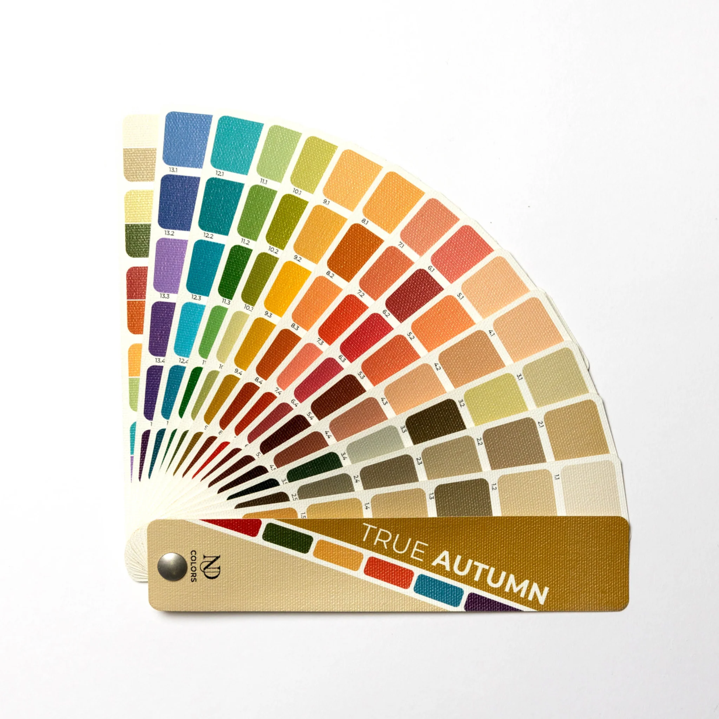 NDU Warm Autumn color fan