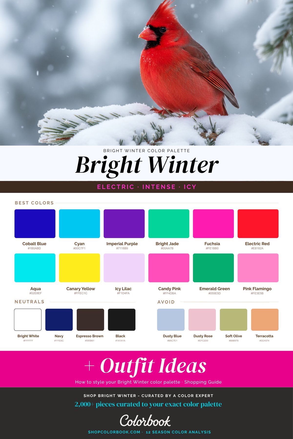 Bright Winter color palette: hot pink, electric blue, true red, and bright emerald