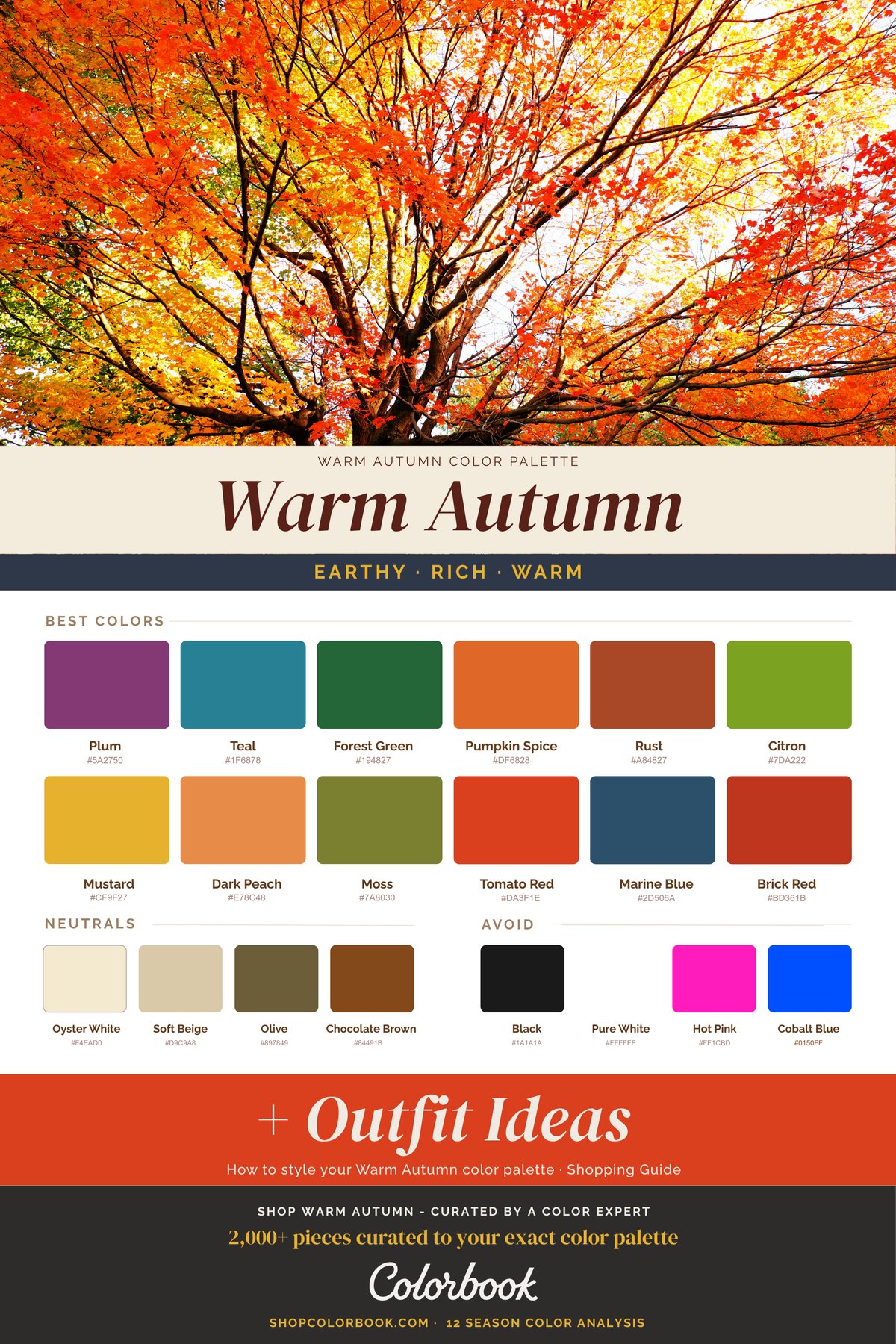 Warm Autumn color palette swatches