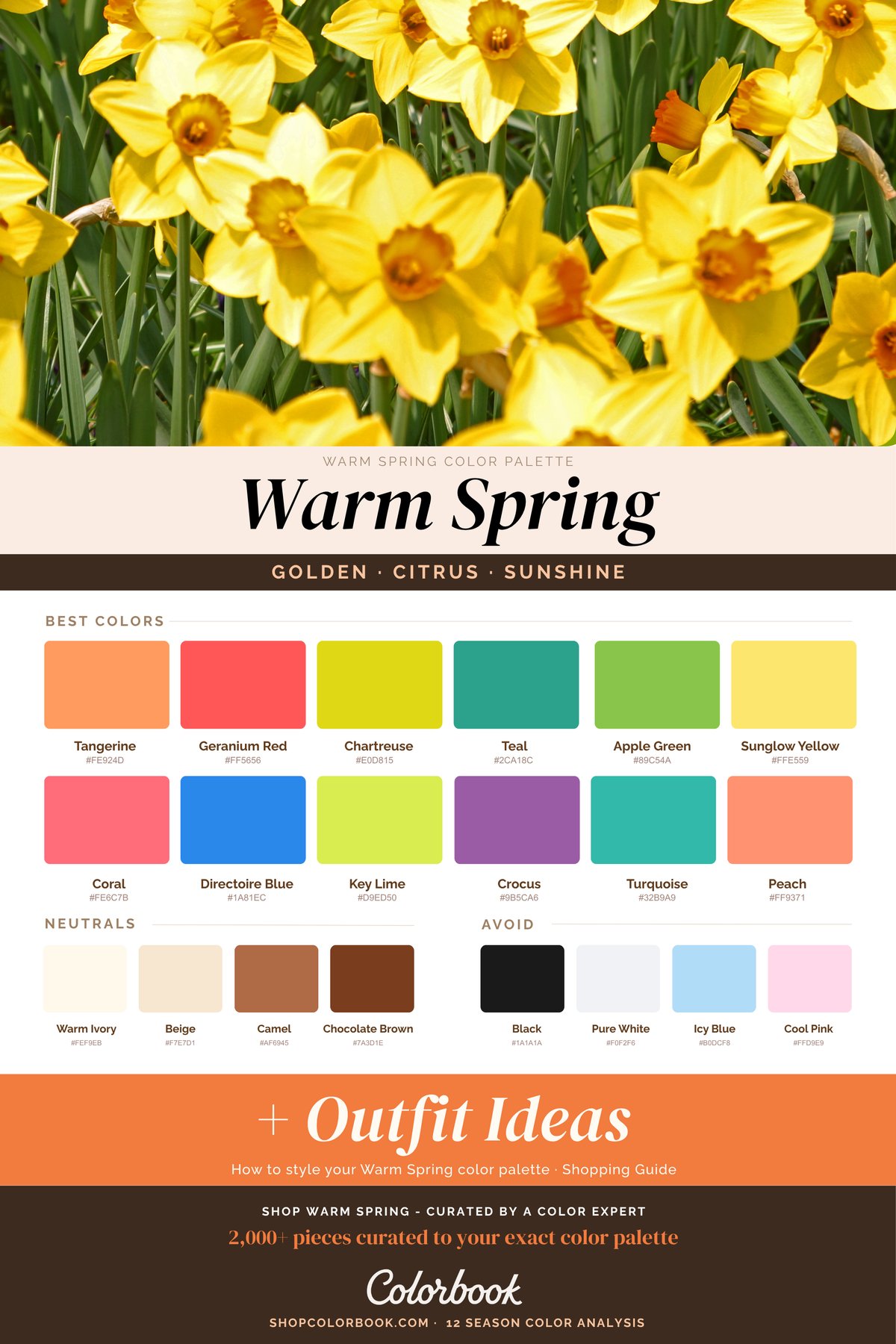 Warm Spring color palette swatches
